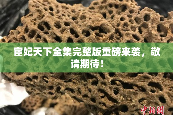 宦妃天下全集完整版重磅来袭，敬请期待！