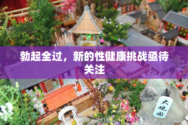 勃起全过，新的性健康挑战亟待关注