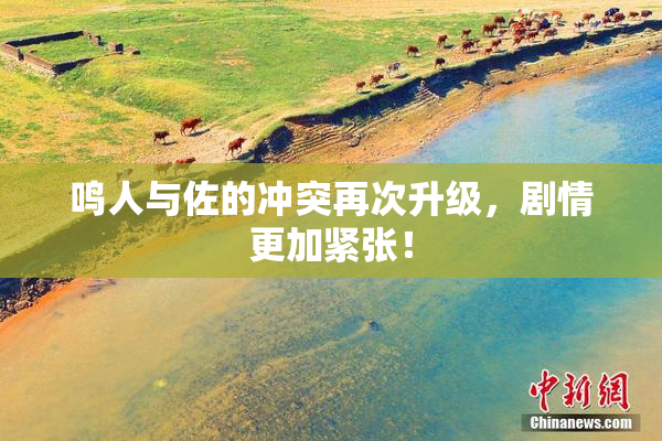 鸣人与佐的冲突再次升级，剧情更加紧张！
