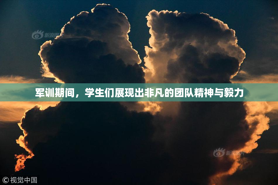 军训期间，学生们展现出非凡的团队精神与毅力