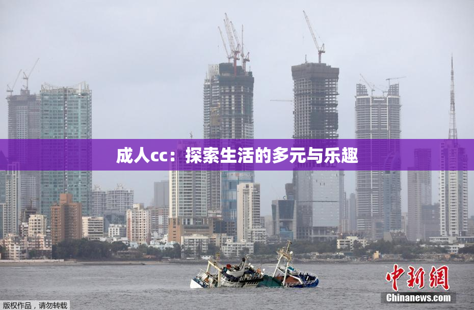 成人cc：探索生活的多元与乐趣