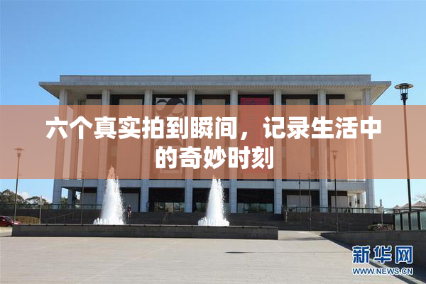 六个真实拍到瞬间，记录生活中的奇妙时刻