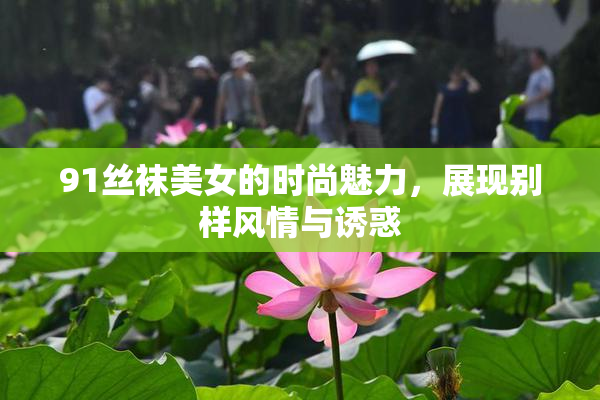 91丝袜美女的时尚魅力，展现别样风情与诱惑