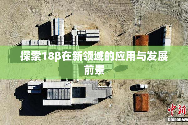 探索18β在新领域的应用与发展前景