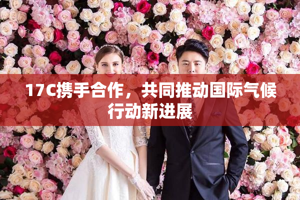 17C携手合作，共同推动国际气候行动新进展