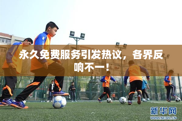 永久免费服务引发热议，各界反响不一！