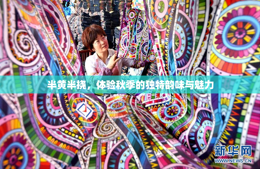 半黄半挠，体验秋季的独特韵味与魅力