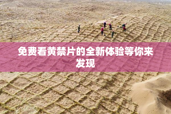 免费看黄禁片的全新体验等你来发现