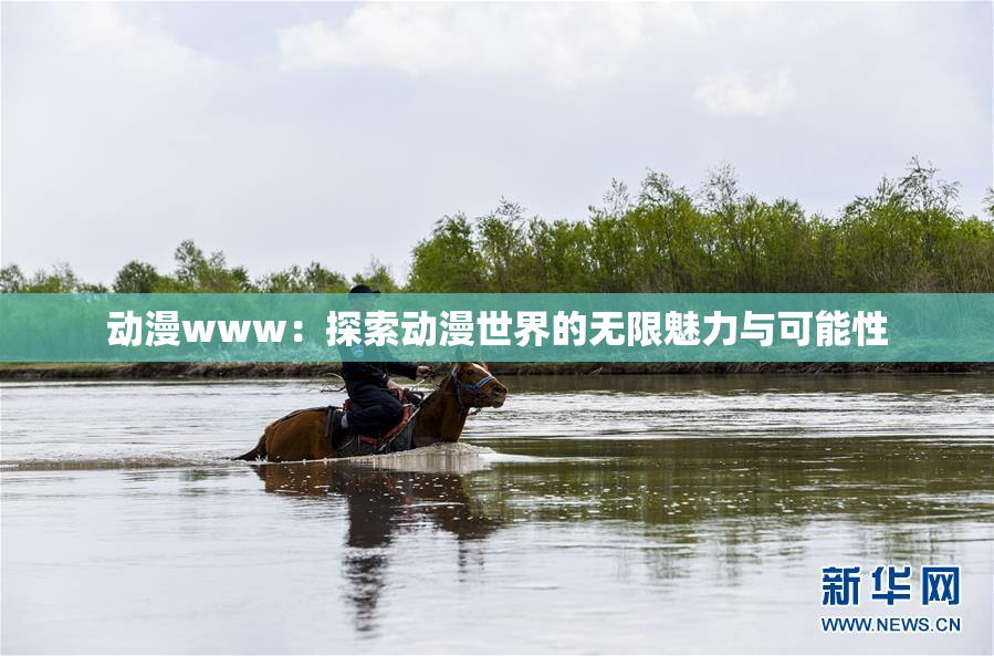 动漫www：探索动漫世界的无限魅力与可能性