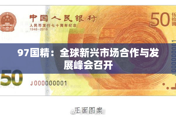 97国精：全球新兴市场合作与发展峰会召开