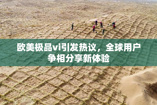 欧美极品vi引发热议，全球用户争相分享新体验
