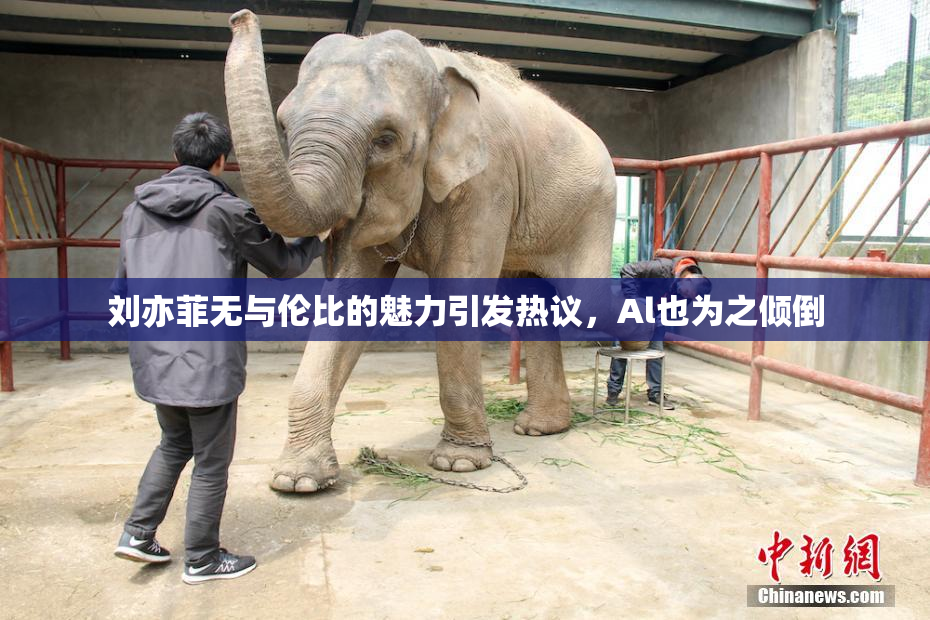刘亦菲无与伦比的魅力引发热议，Al也为之倾倒