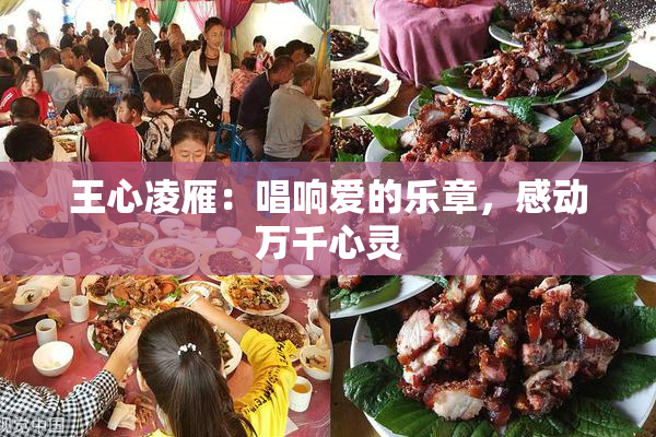 王心凌雁：唱响爱的乐章，感动万千心灵