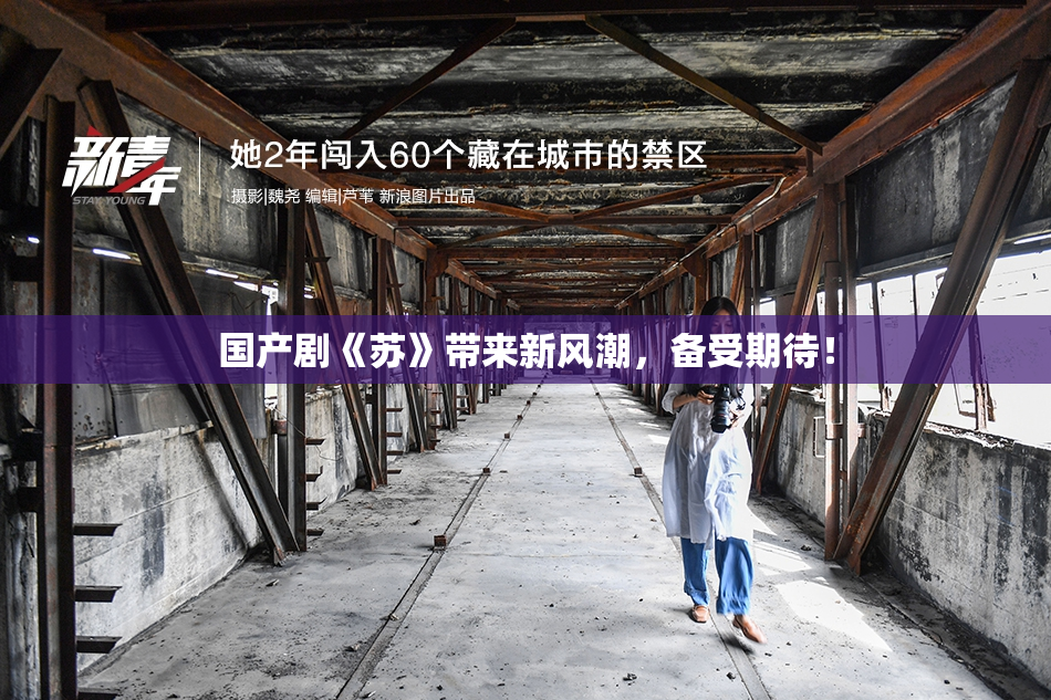 国产剧《苏》带来新风潮，备受期待！