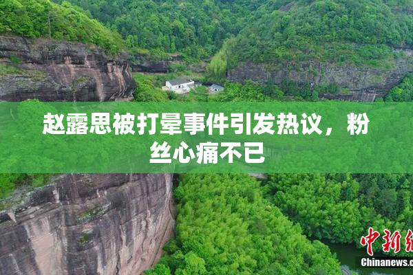 赵露思被打晕事件引发热议，粉丝心痛不已