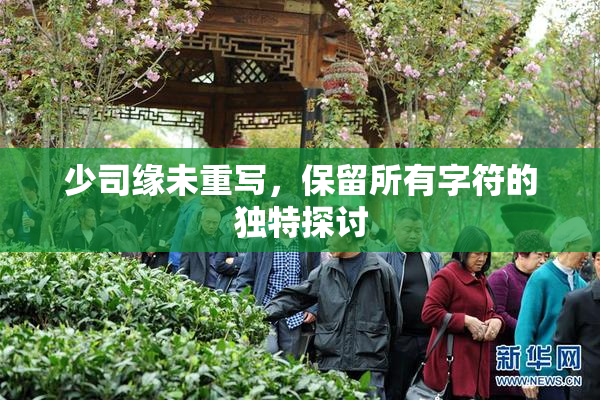 少司缘未重写，保留所有字符的独特探讨