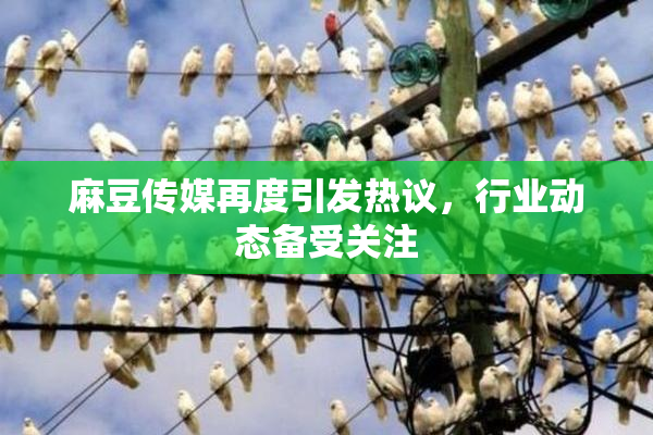 麻豆传媒再度引发热议，行业动态备受关注