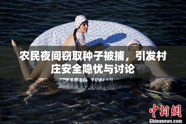 农民夜间窃取种子被捕，引发村庄安全隐忧与讨论
