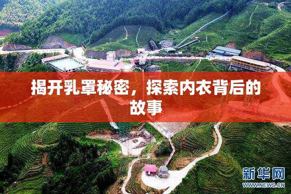 揭开乳罩秘密，探索内衣背后的故事