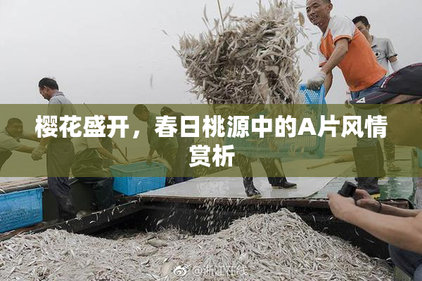 樱花盛开，春日桃源中的A片风情赏析