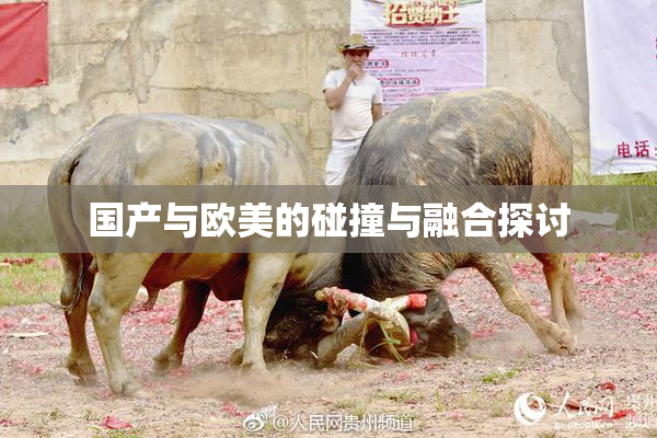 国产与欧美的碰撞与融合探讨