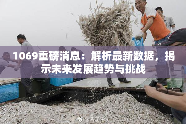 1069重磅消息：解析最新数据，揭示未来发展趋势与挑战