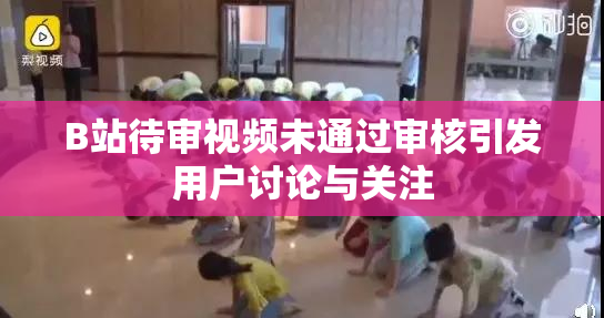 B站待审视频未通过审核引发用户讨论与关注