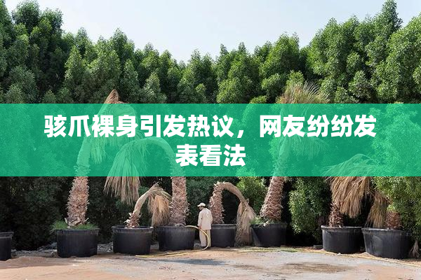 骇爪裸身引发热议，网友纷纷发表看法