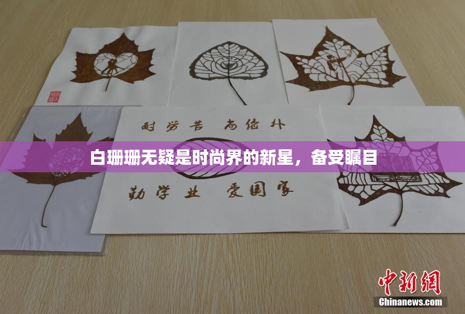 白珊珊无疑是时尚界的新星，备受瞩目
