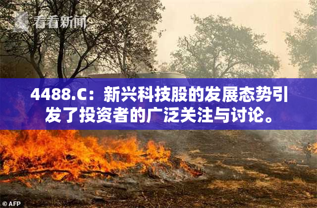 4488.C：新兴科技股的发展态势引发了投资者的广泛关注与讨论。