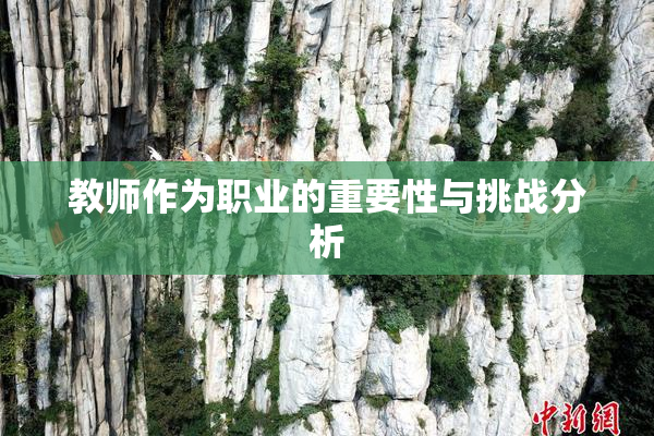 教师作为职业的重要性与挑战分析