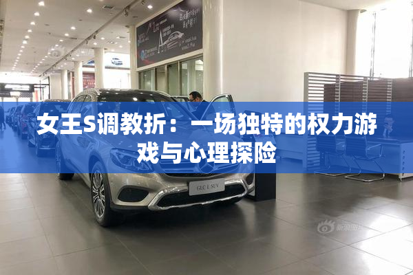 女王S调教折：一场独特的权力游戏与心理探险