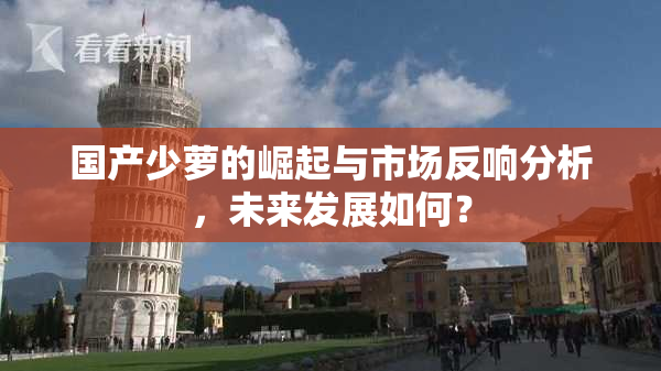 国产少萝的崛起与市场反响分析，未来发展如何？
