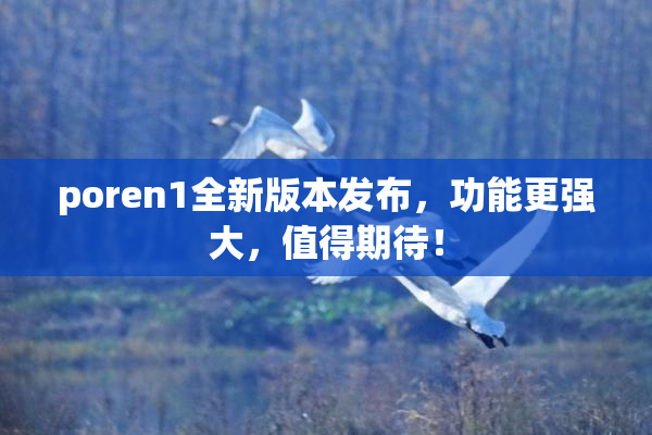 poren1全新版本发布，功能更强大，值得期待！