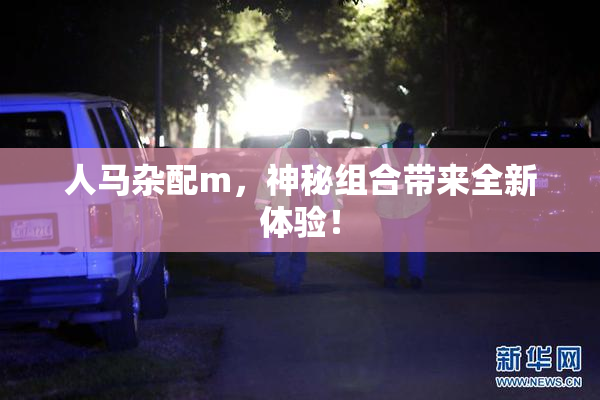 人马杂配m，神秘组合带来全新体验！