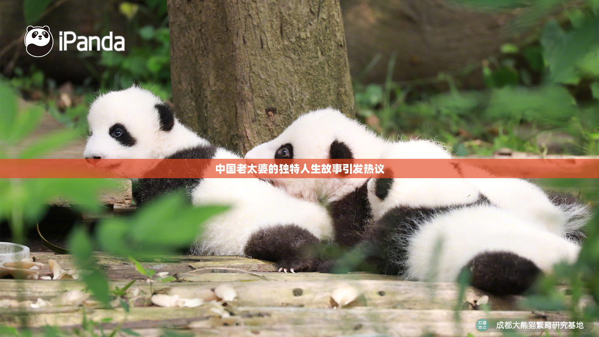 中国老太婆的独特人生故事引发热议