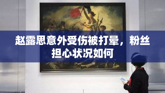 赵露思意外受伤被打晕，粉丝担心状况如何