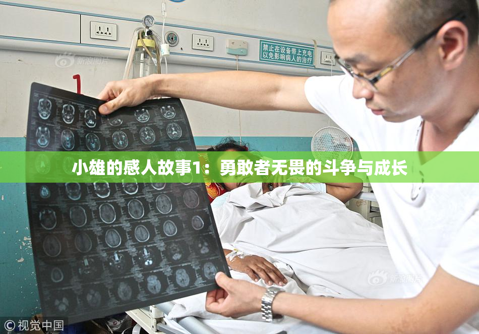 小雄的感人故事1：勇敢者无畏的斗争与成长