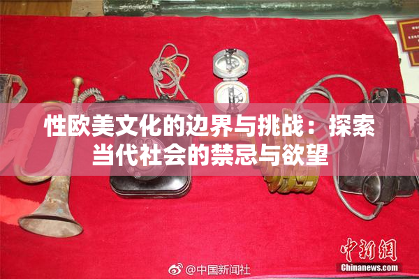 性欧美文化的边界与挑战：探索当代社会的禁忌与欲望