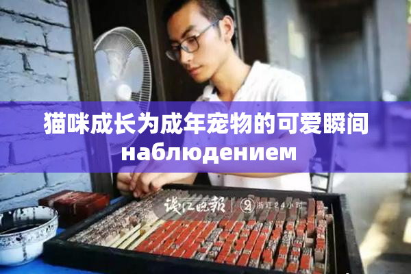 猫咪成长为成年宠物的可爱瞬间 наблюдением