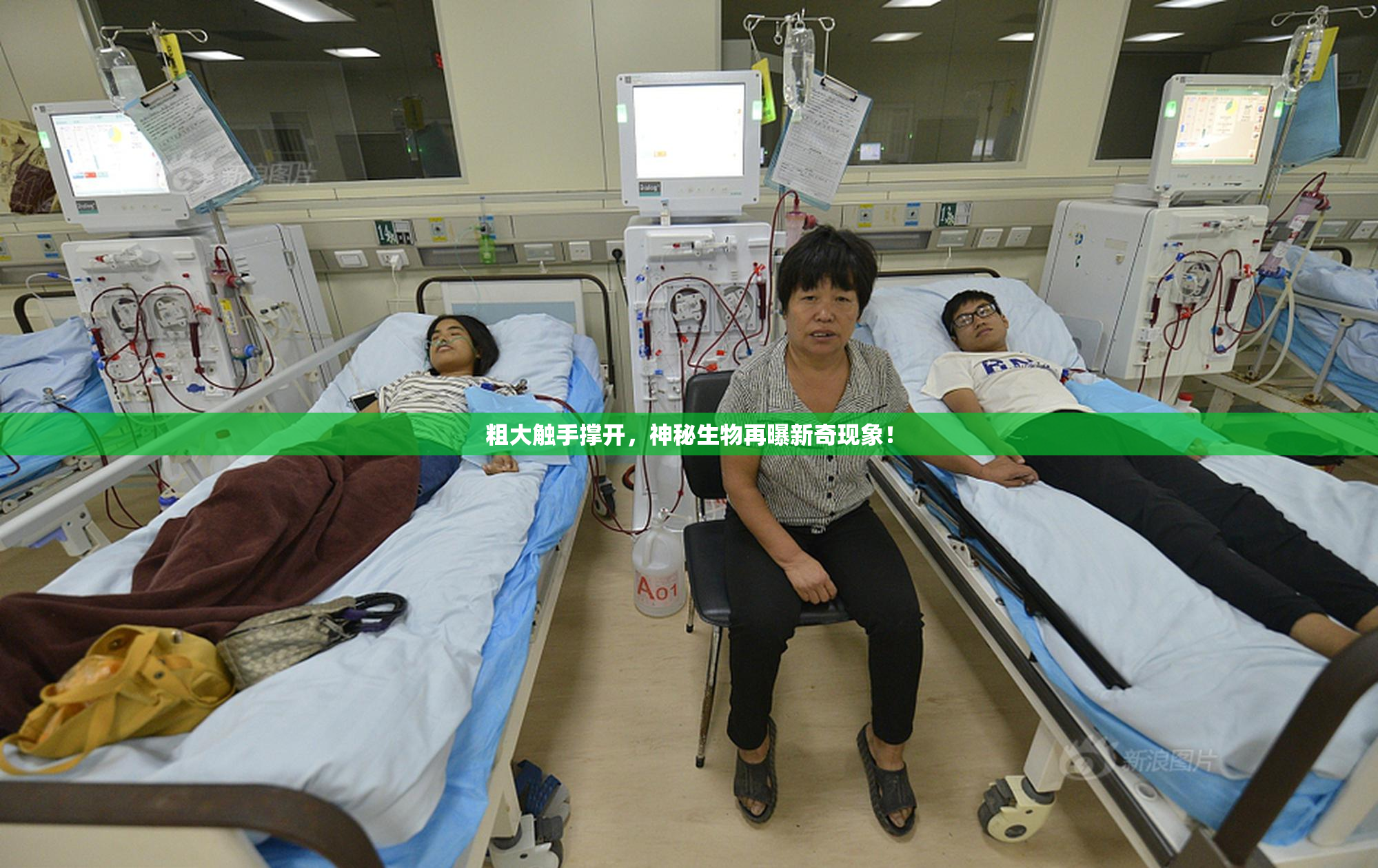 粗大触手撑开，神秘生物再曝新奇现象！