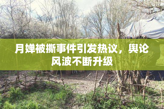 月婵被撕事件引发热议，舆论风波不断升级