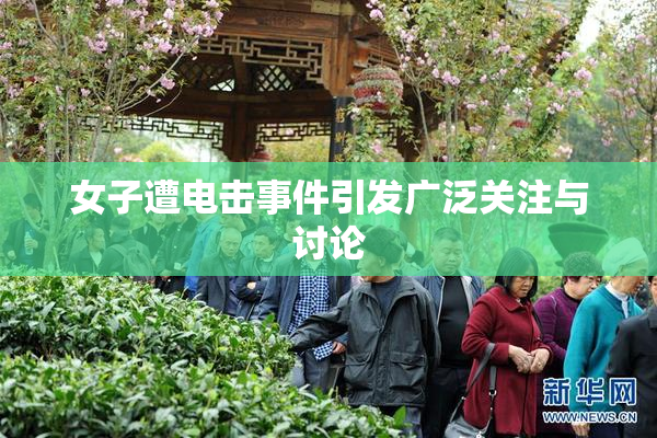 女子遭电击事件引发广泛关注与讨论