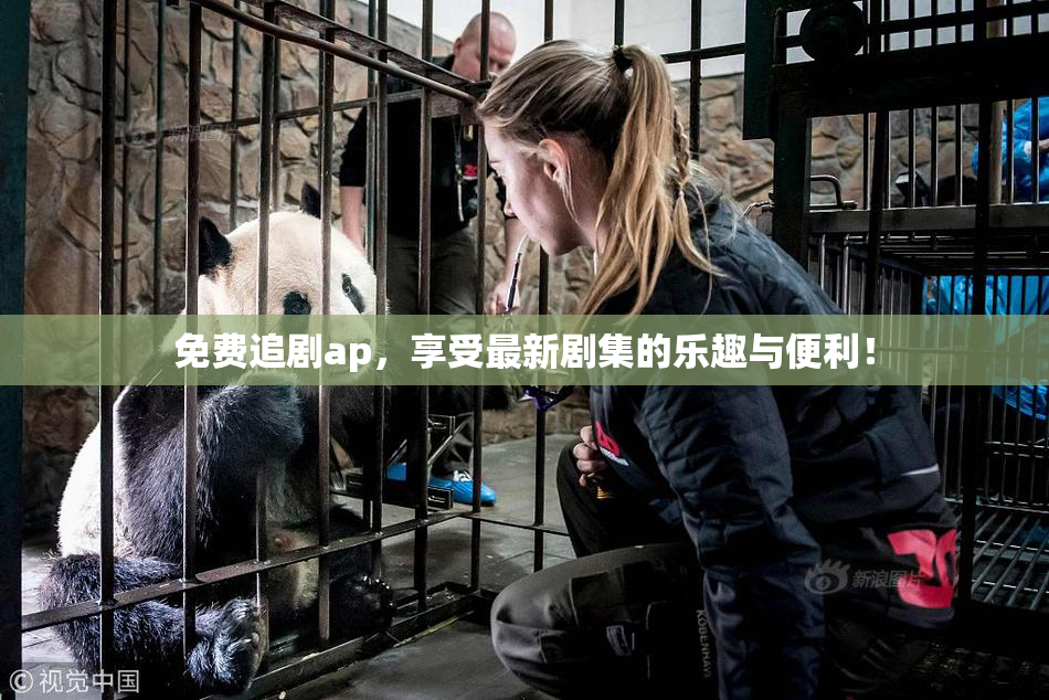免费追剧ap，享受最新剧集的乐趣与便利！
