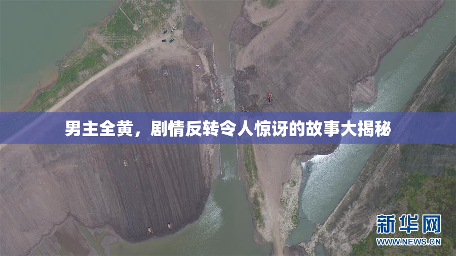 男主全黄，剧情反转令人惊讶的故事大揭秘