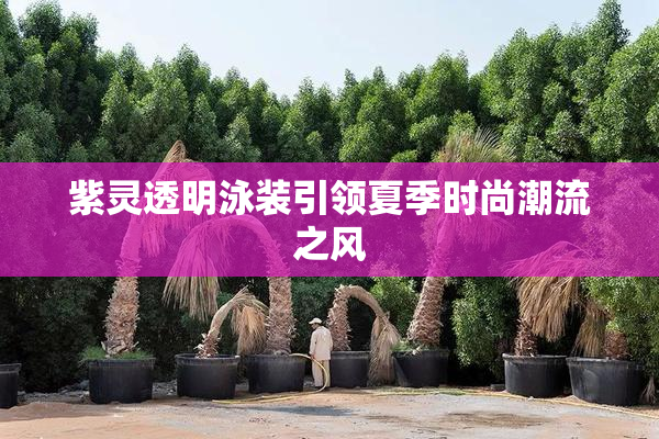 紫灵透明泳装引领夏季时尚潮流之风