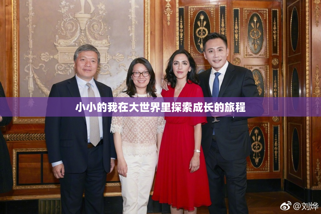 小小的我在大世界里探索成长的旅程