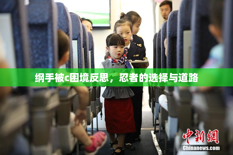 纲手被c困境反思，忍者的选择与道路