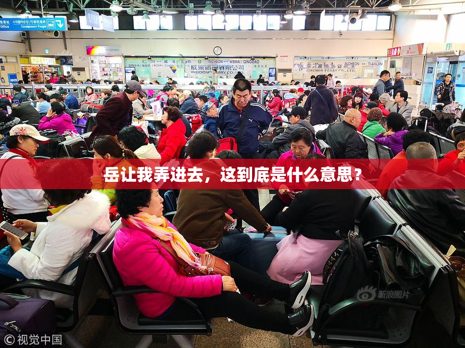 岳让我弄进去，这到底是什么意思？