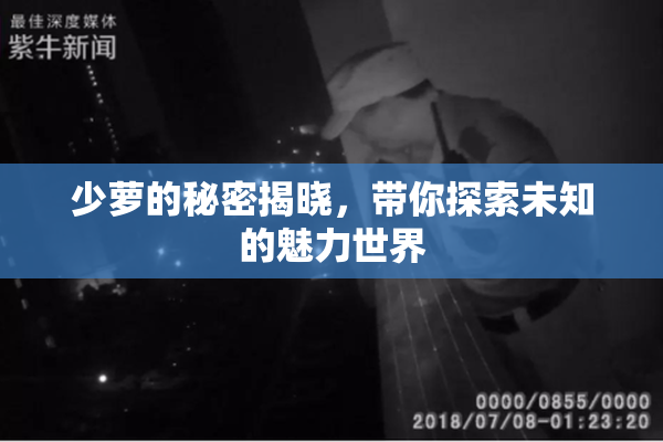 少萝的秘密揭晓，带你探索未知的魅力世界